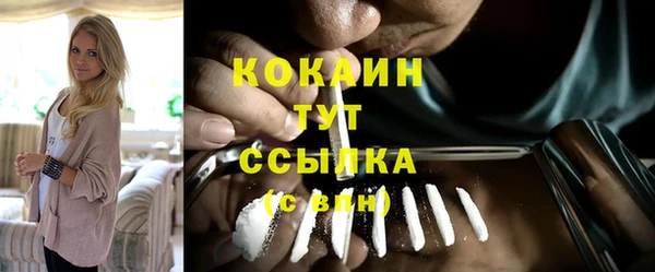 эйфоретик Богданович