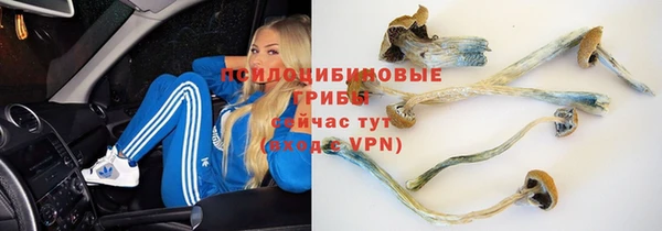 соль курить ск Богородск