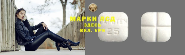 гидропоника Бугульма