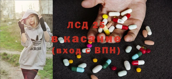 эйфоретик Богданович
