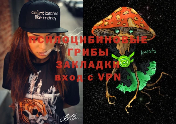 гидропоника Бугульма